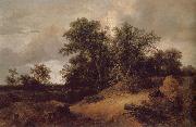 Jacob van Ruisdael Dune Landfscape